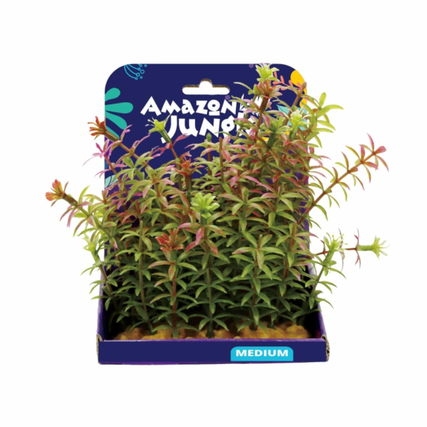Red Anacharis Display 15cm - Amazon Jungle