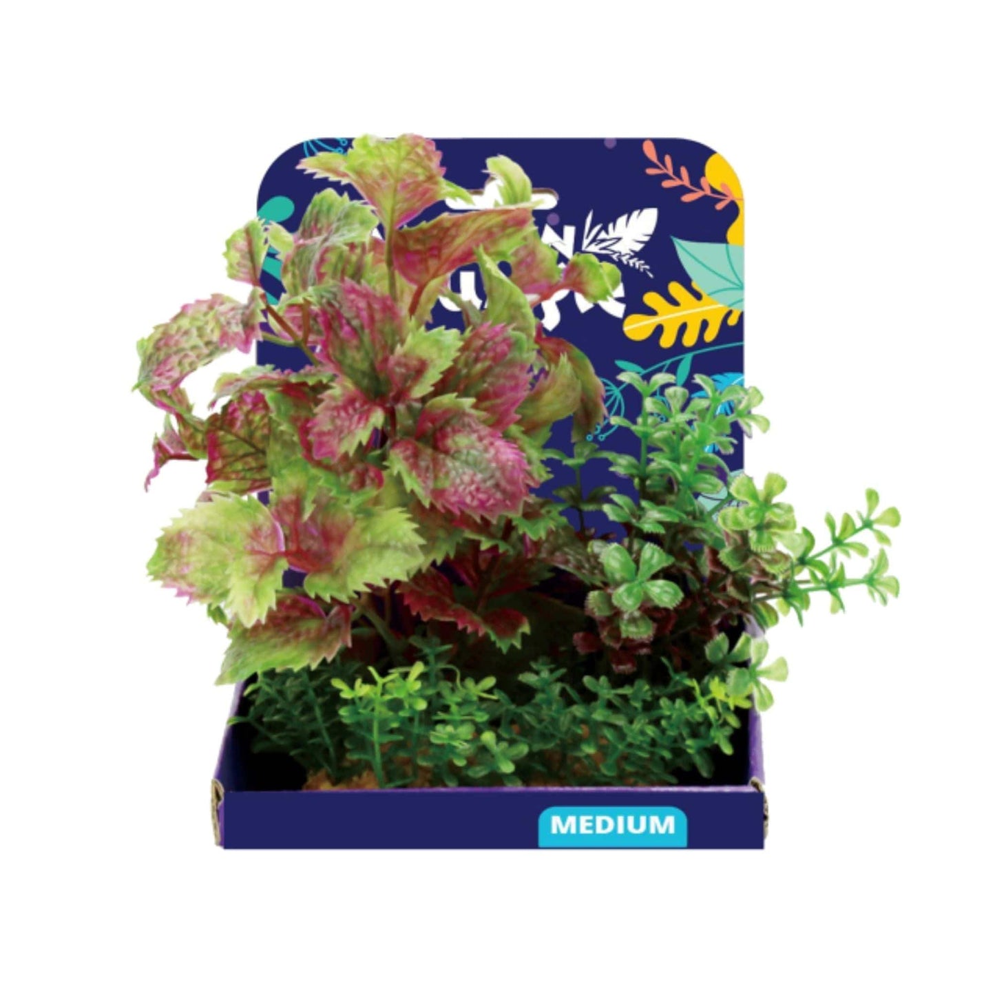 Flame Castella Display 15cm - Amazon Jungle