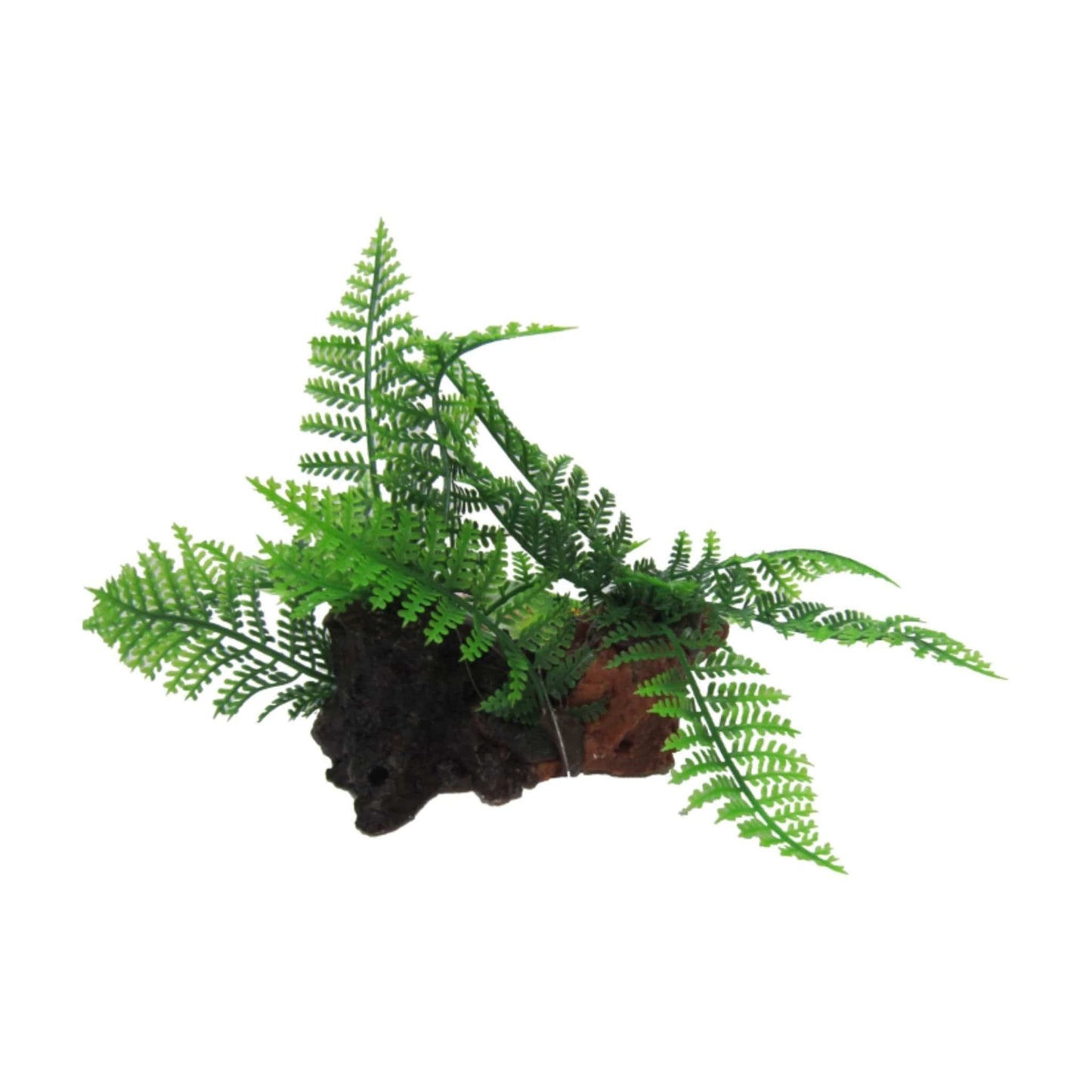 Twin Ferns on Log 12cm - Amazon Jungle