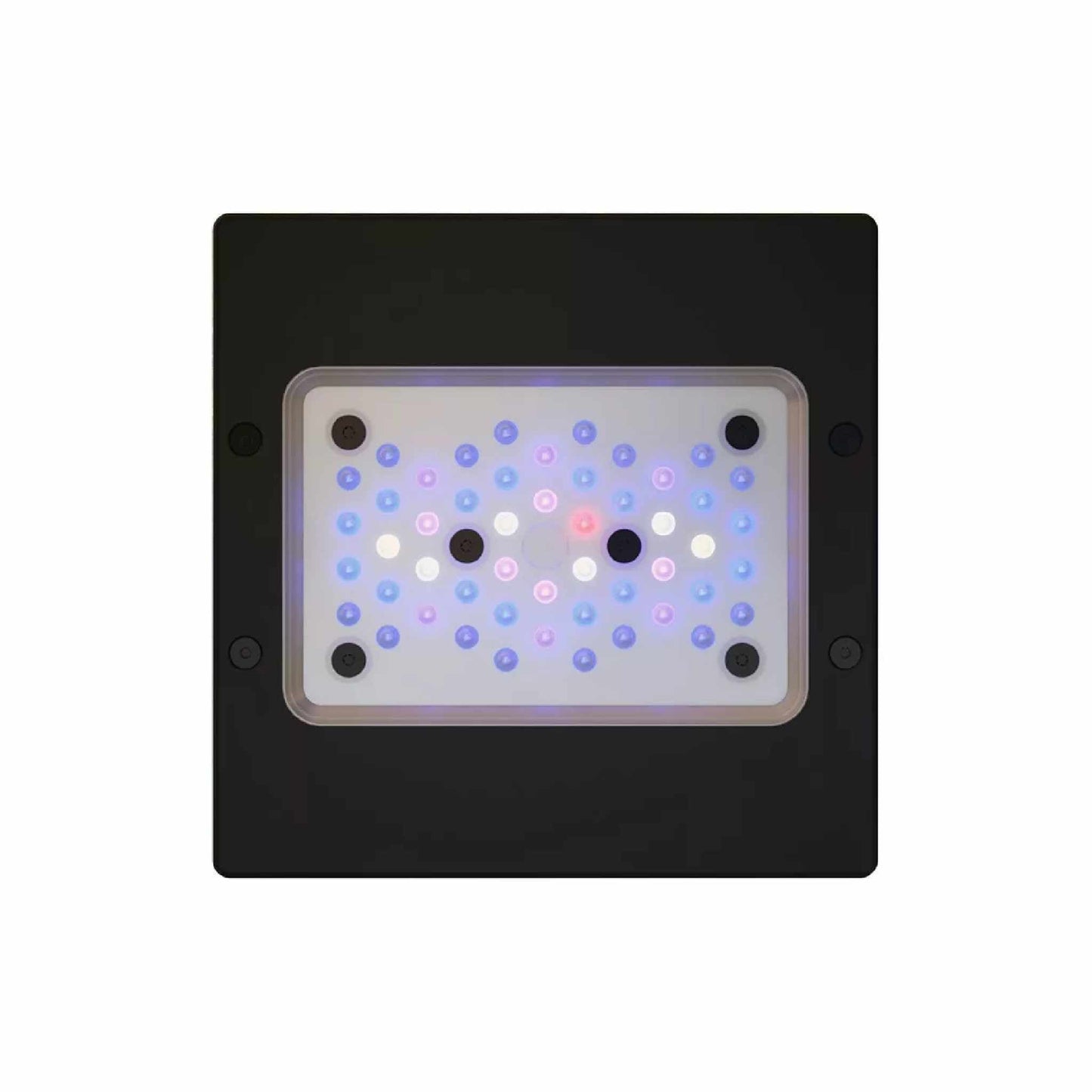 Radion XR15 G6 Blue LED - EcoTech Marine