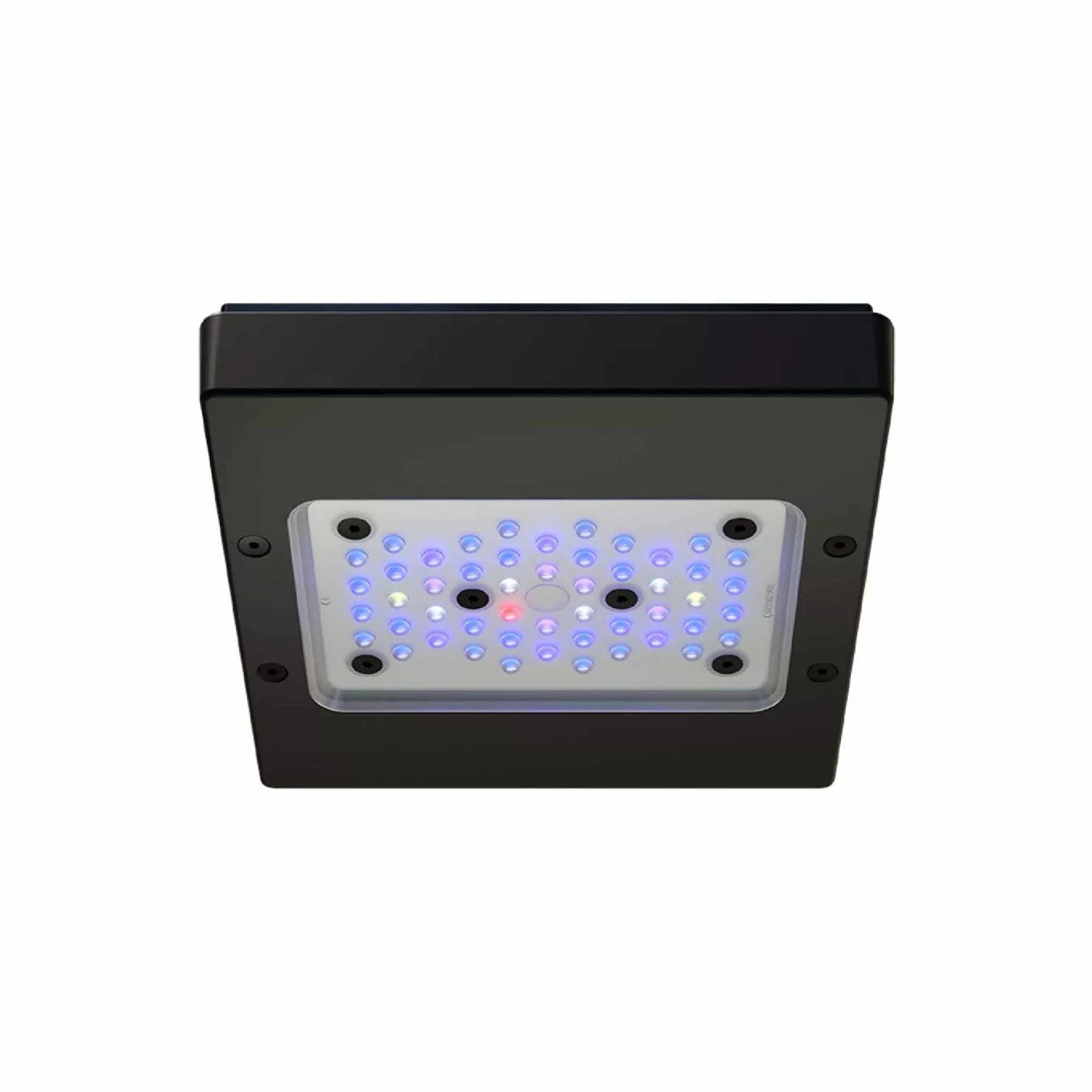 Radion XR15 G6 Blue LED - EcoTech Marine