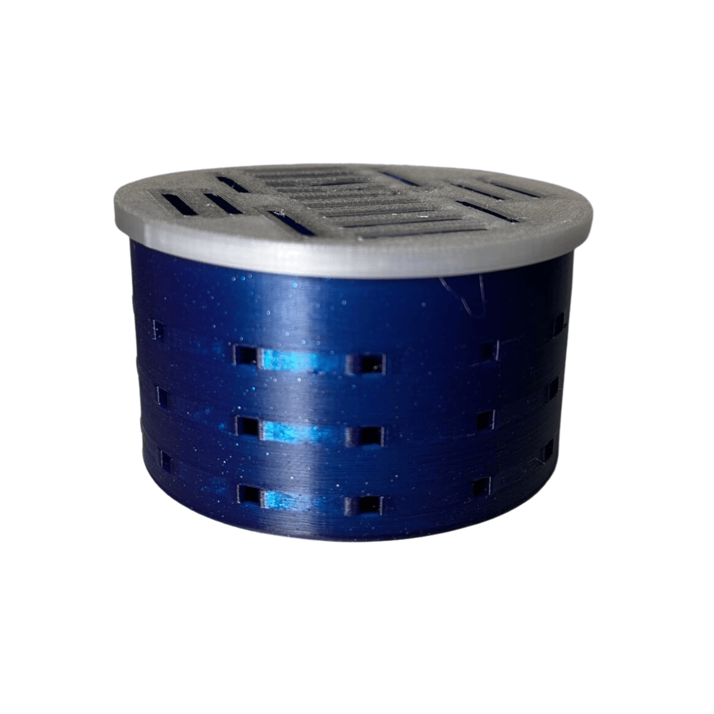 Ricordea Mushroom Coral Hospital