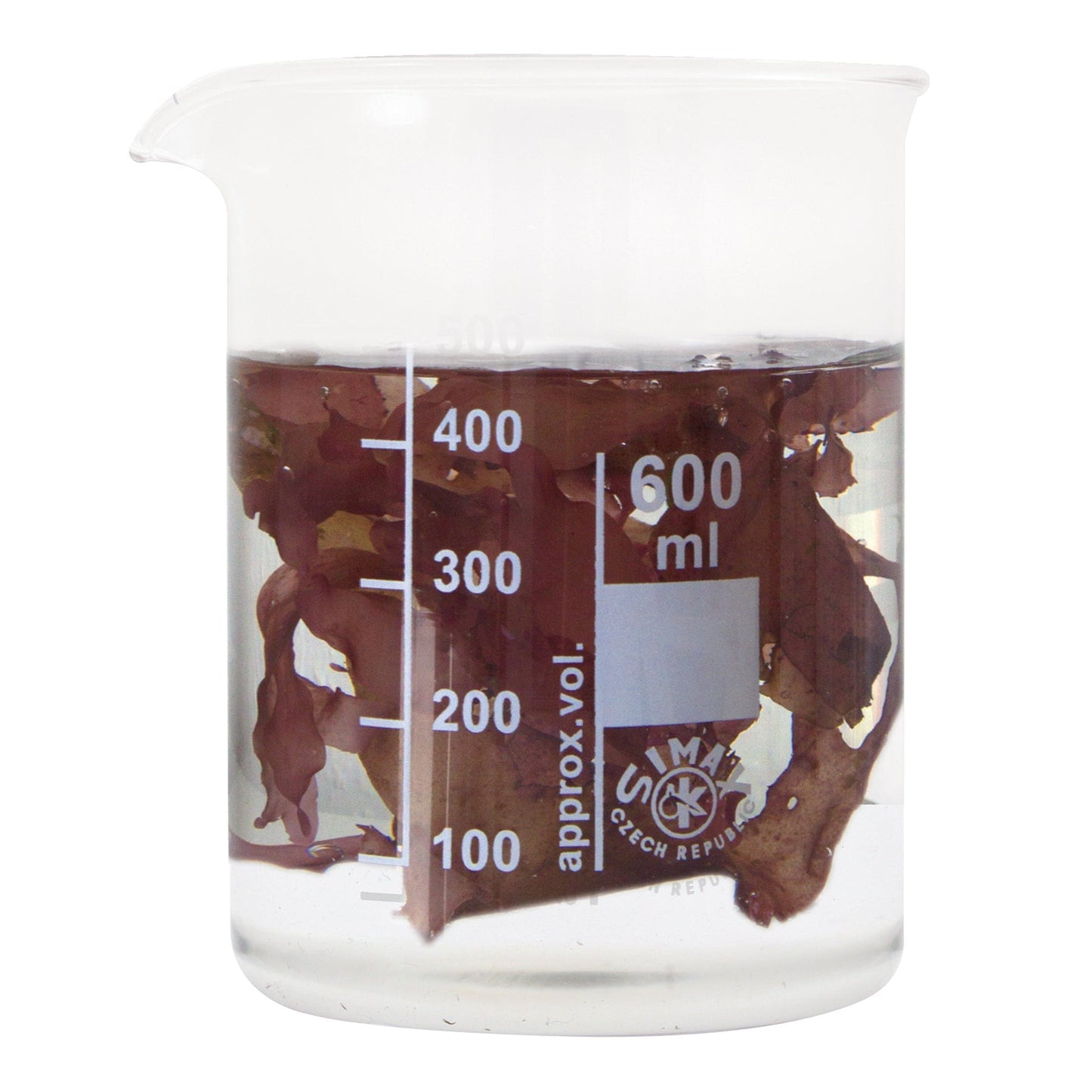 Red seaweed - Aquarium Systems