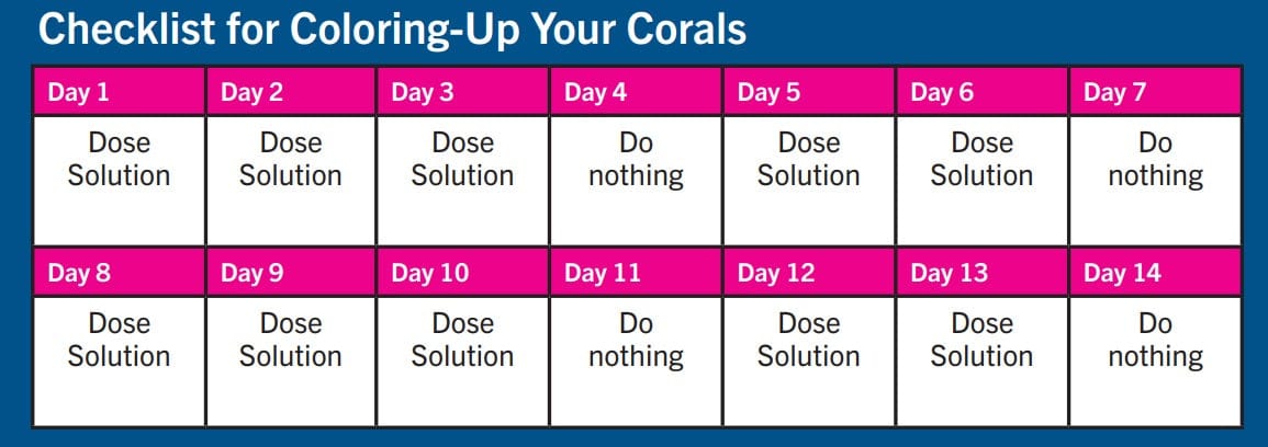 First Defense - Dr Tims