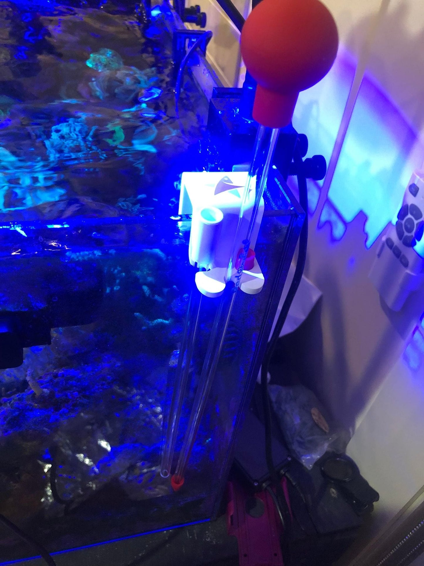 Coral feeder 60cm with hang kit