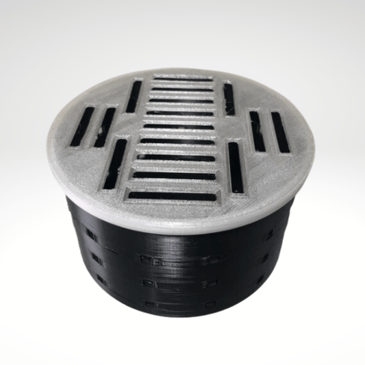 Ricordea Mushroom Coral Hospital