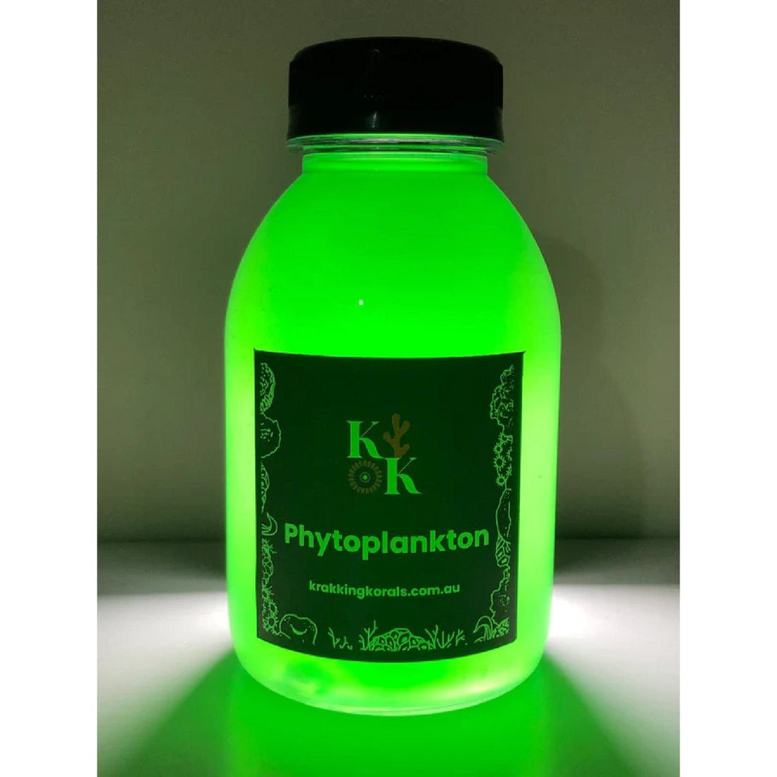 Live Nannochloropsis phytoplankton for a home reef culture