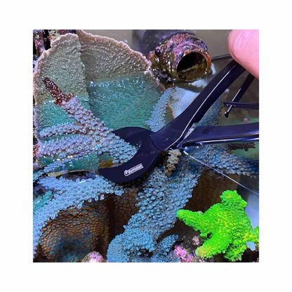 Curved Coral Cutter - Vastocean