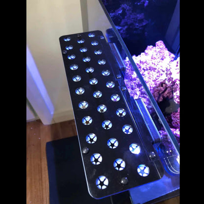 Frag Rack 32 holes - Magnetic