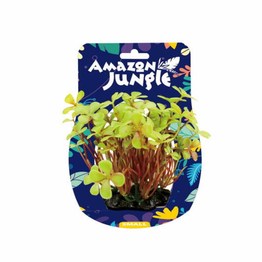 4 Leaf Clover Display 10-12cm - Amazon Jungle
