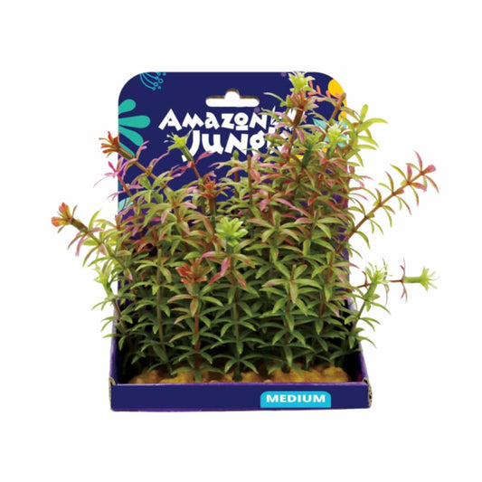 Red Anacharis Display 15cm - Amazon Jungle