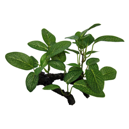 African Shade Leaf on Log 10cm - Amazon Jungle