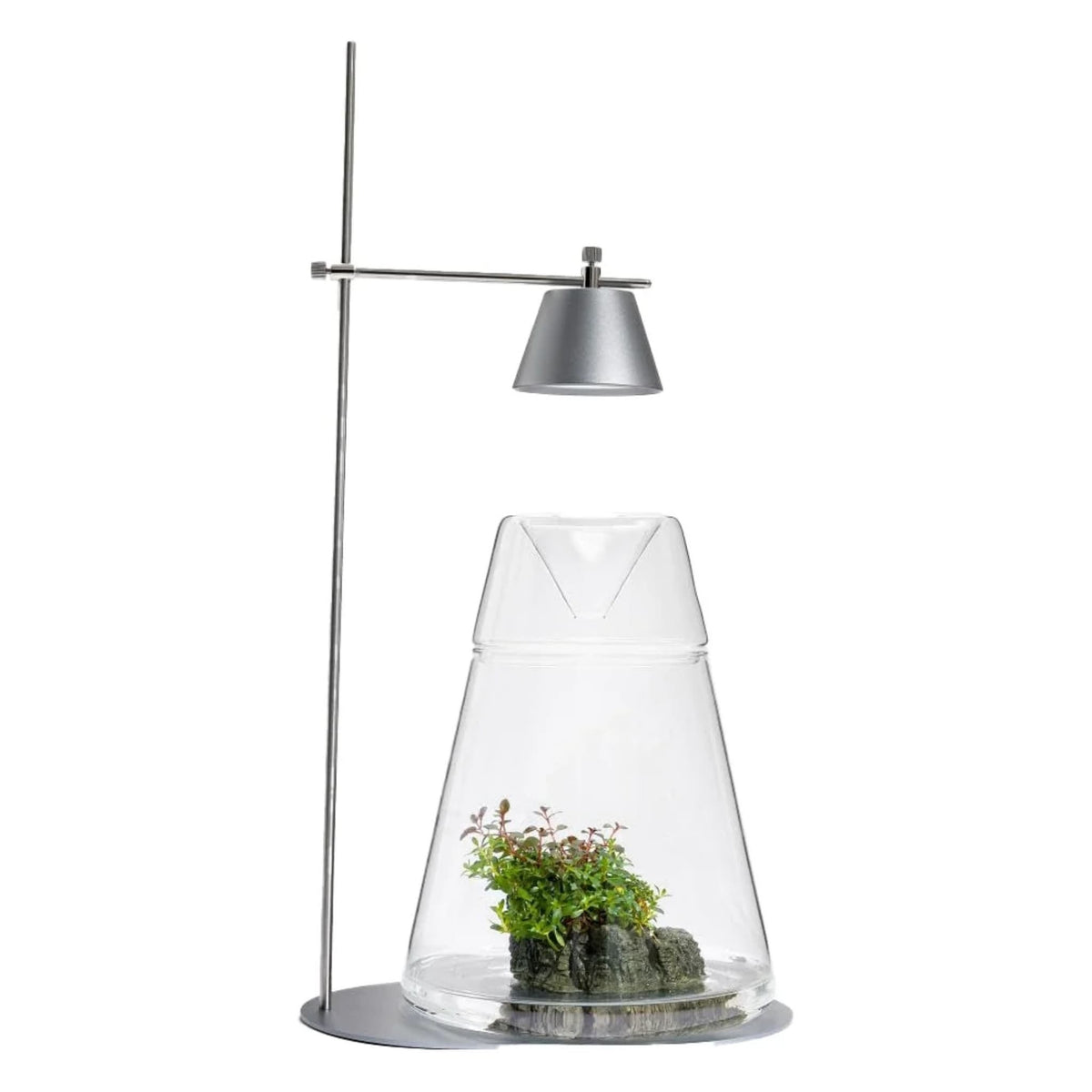 DOT-II Terrarium - LEDSTAR