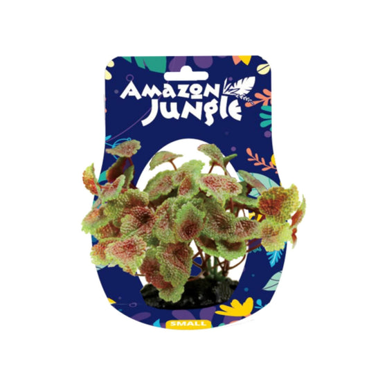 Flame Castella Display 10-12cm - Amazon Jungle