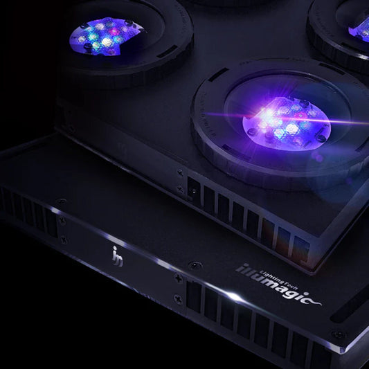 X4 Reefer Pro - Illumagic