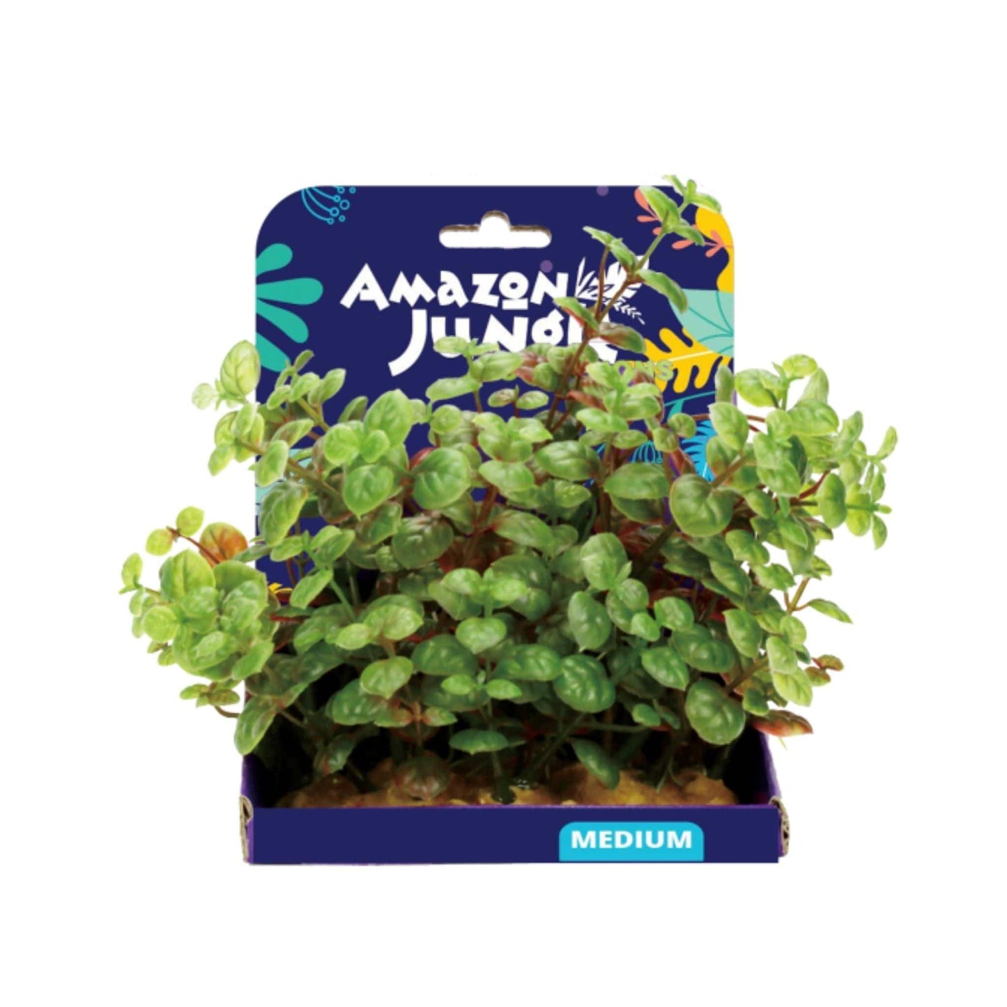 Ludwigia Display 15cm - Amazon Jungle