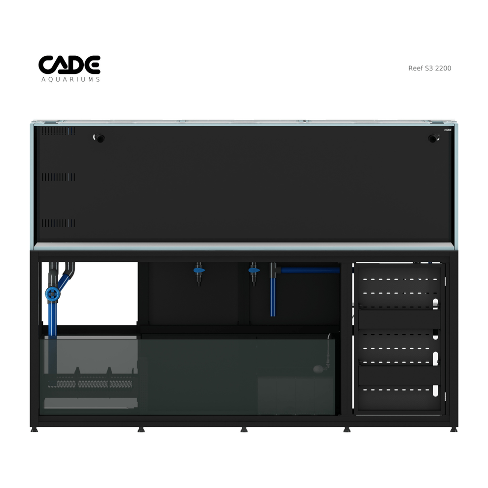Reef S3 2200 - CADE – Krakking Korals