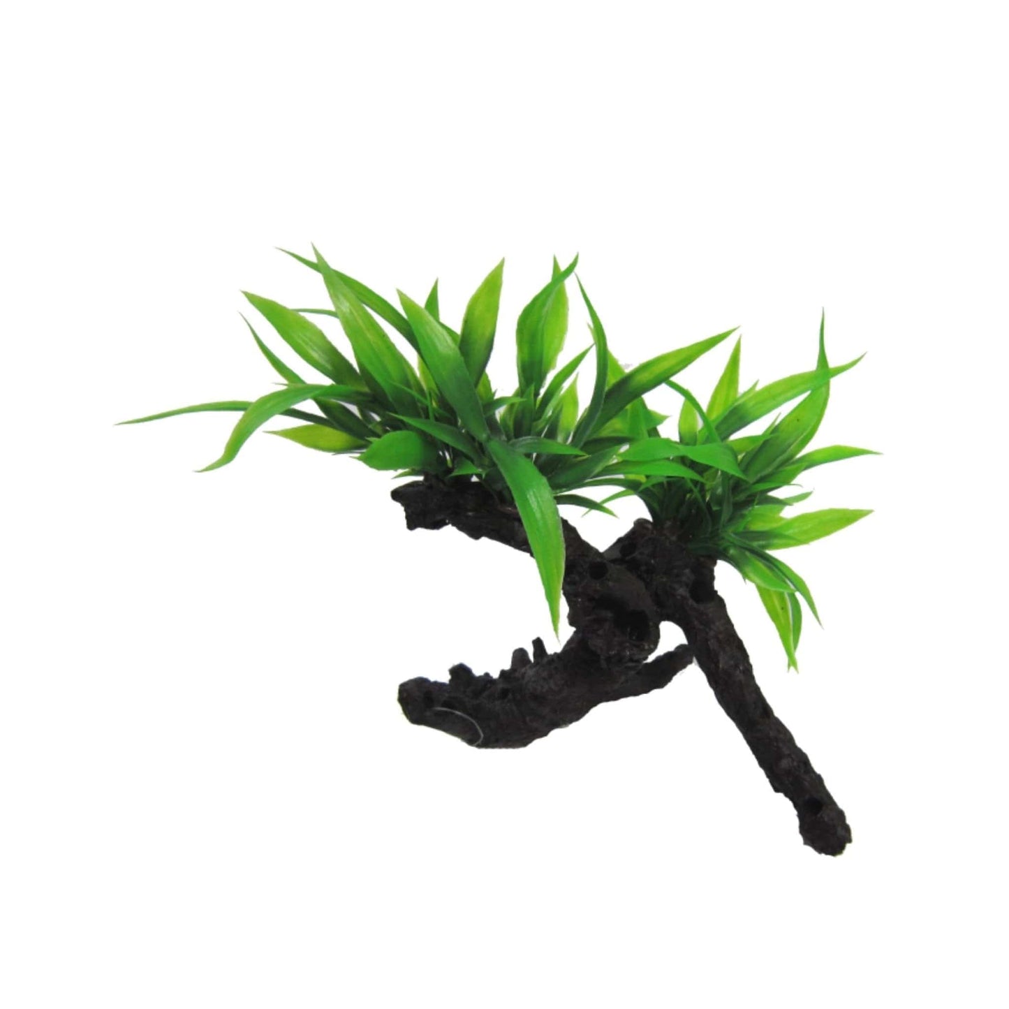 Twin Indo Fern on Log 17cm - Amazon Jungle