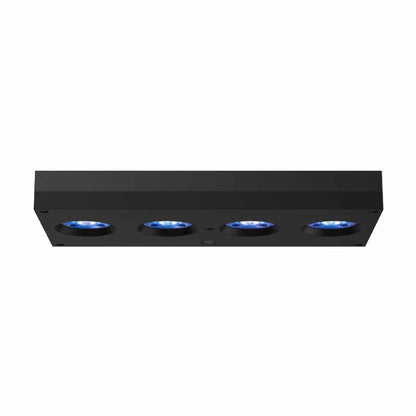 hydra 64 side profile
