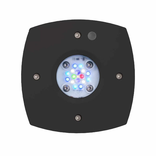 aquarium light