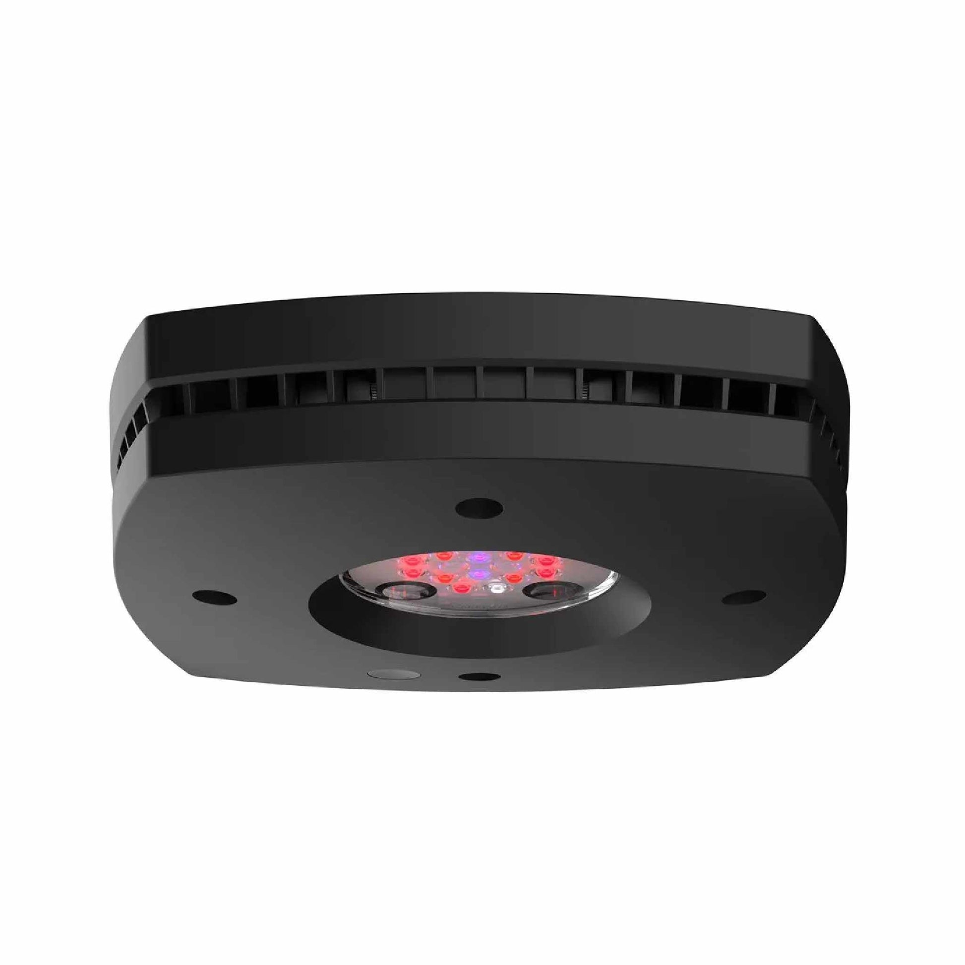 Prime 16 LED Fuge side profile