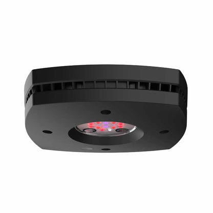 Prime 16 LED Fuge side profile
