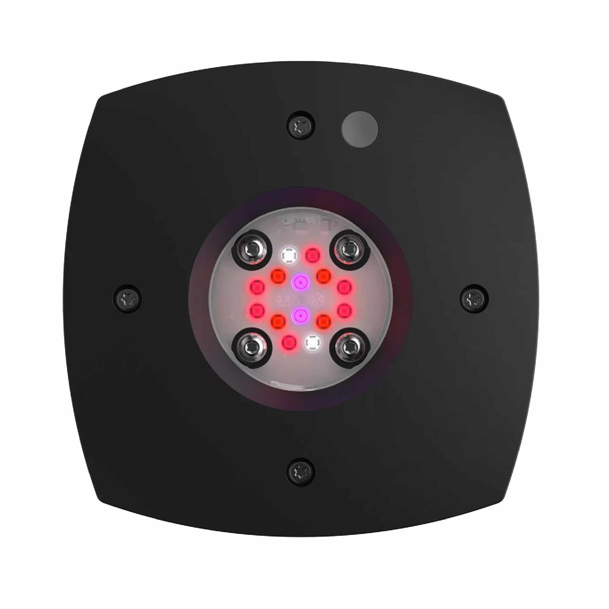 Prime 16 LED Fuge front profile