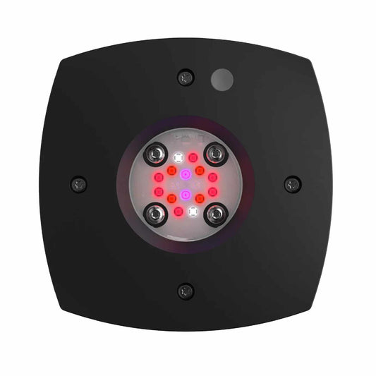 Prime 16 LED Fuge front profile