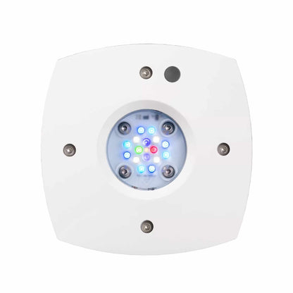 White AquaIllumination Prime LED aquarium light with illuminated multi-color LED cluster and mounting screws.