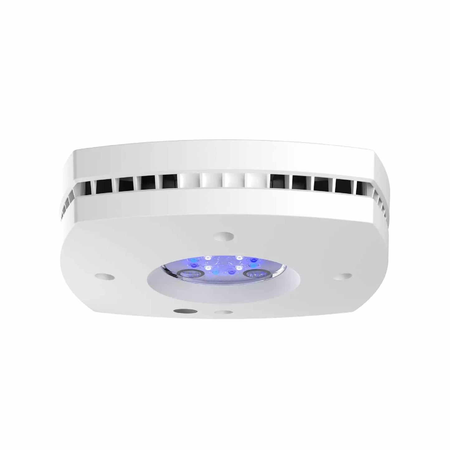 Prime 16 SOL LED White - Aqua Illumination