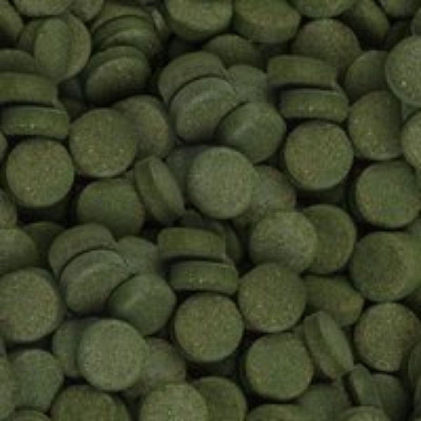 Marine Spirulina Tabs - sera