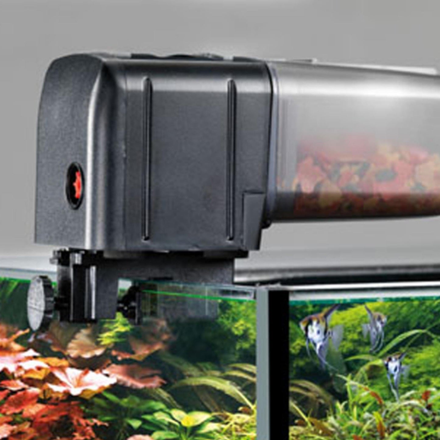Auto Fish Feeder - EHEIM