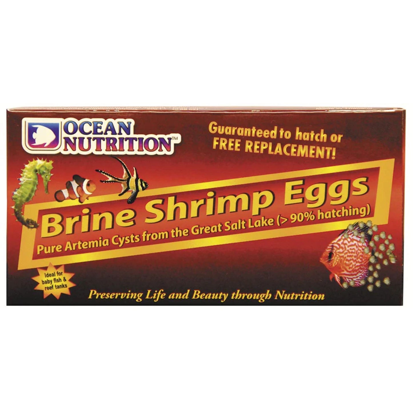 Brine Shrimp Eggs 20g - Ocean Nutrition