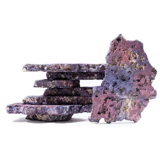 Flatz LifeRock - Caribsea