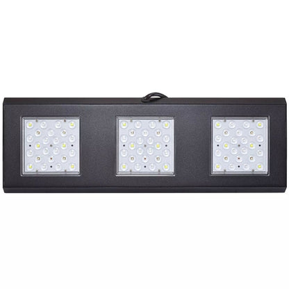 Reef Flare Pro Blue L LED Light - Reef Factory