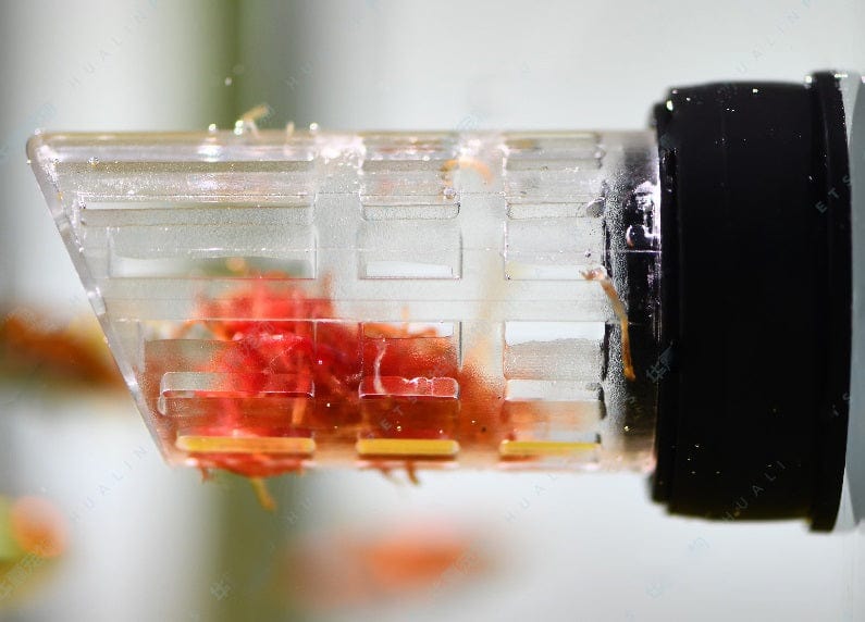 Magnetic Fish Feeder - Vastocean