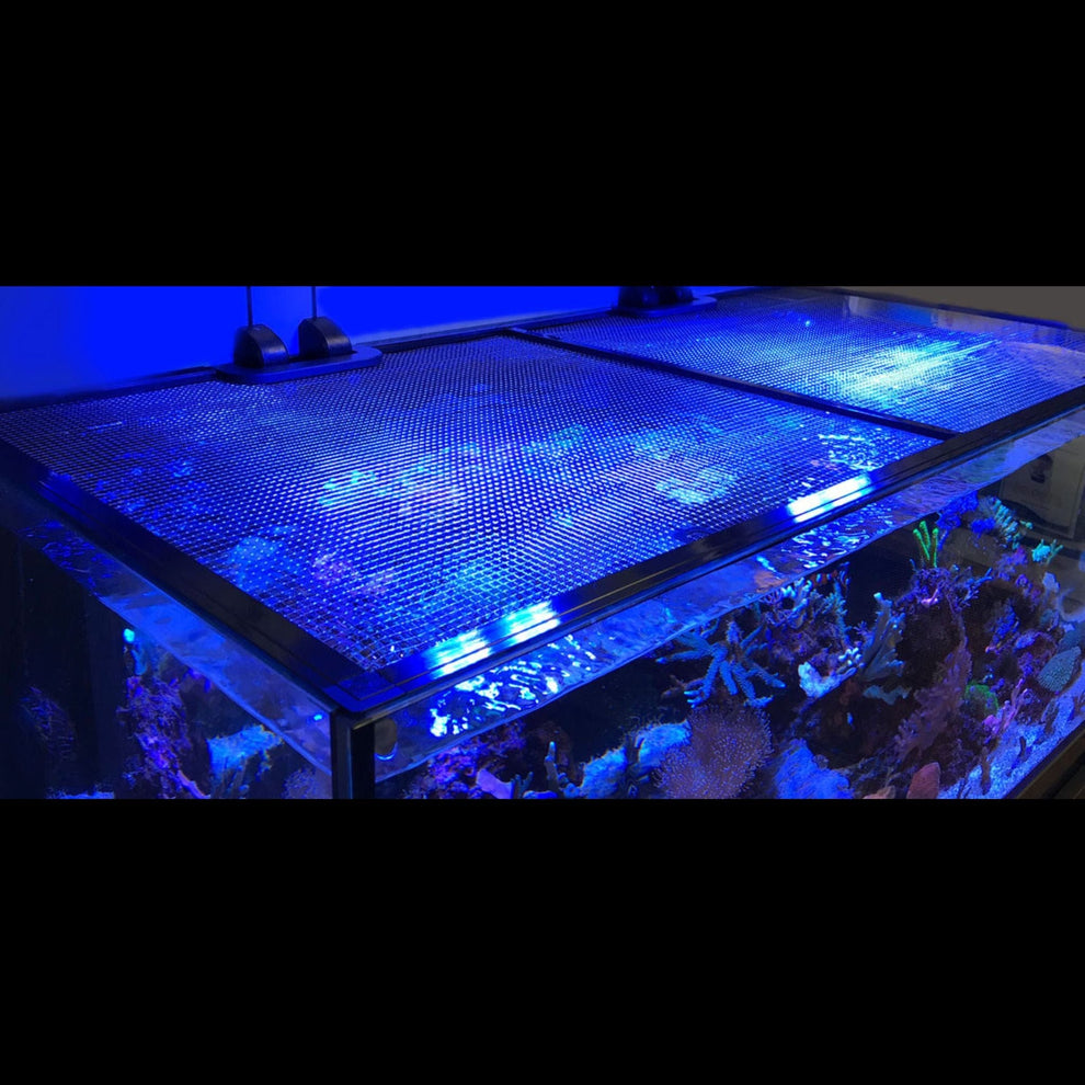 View of Jumpguard Pro DIY Aquarium Cover - D & D – Krakking Korals