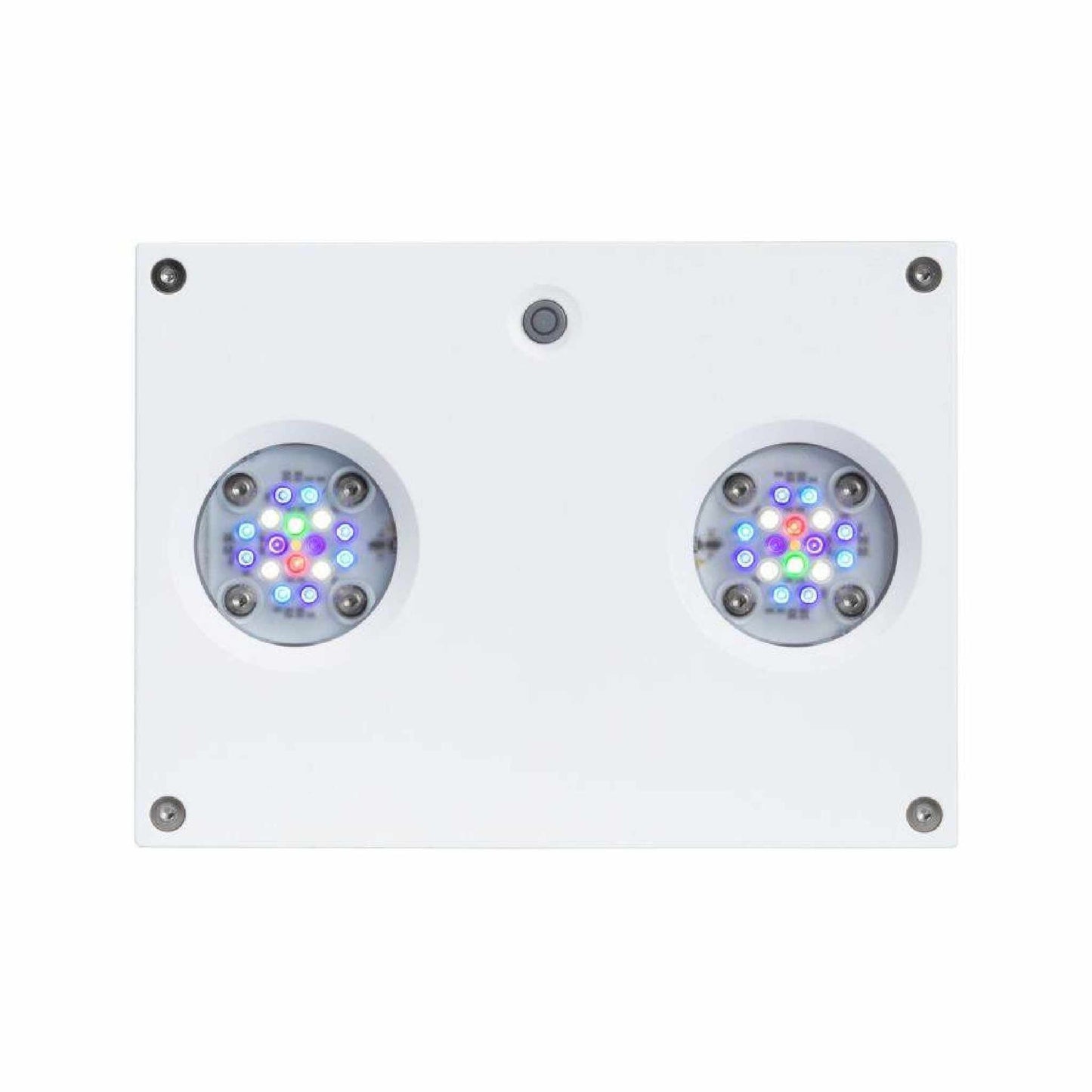 white hydra 32 front profile