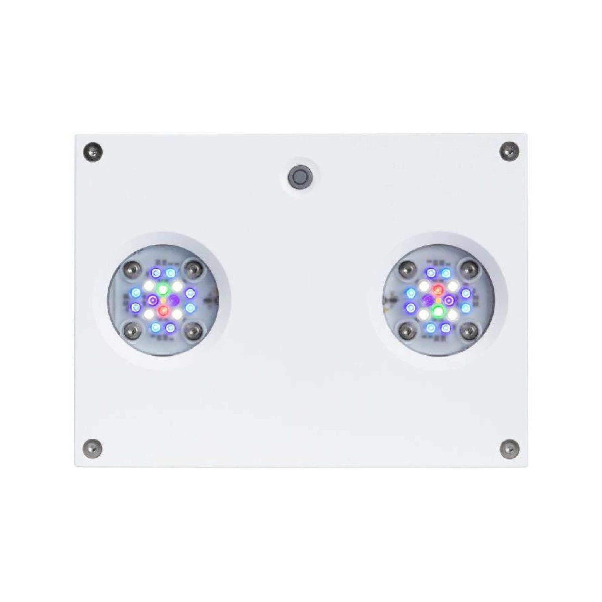 white hydra 32 front profile