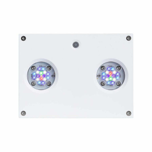 white hydra 32 front profile