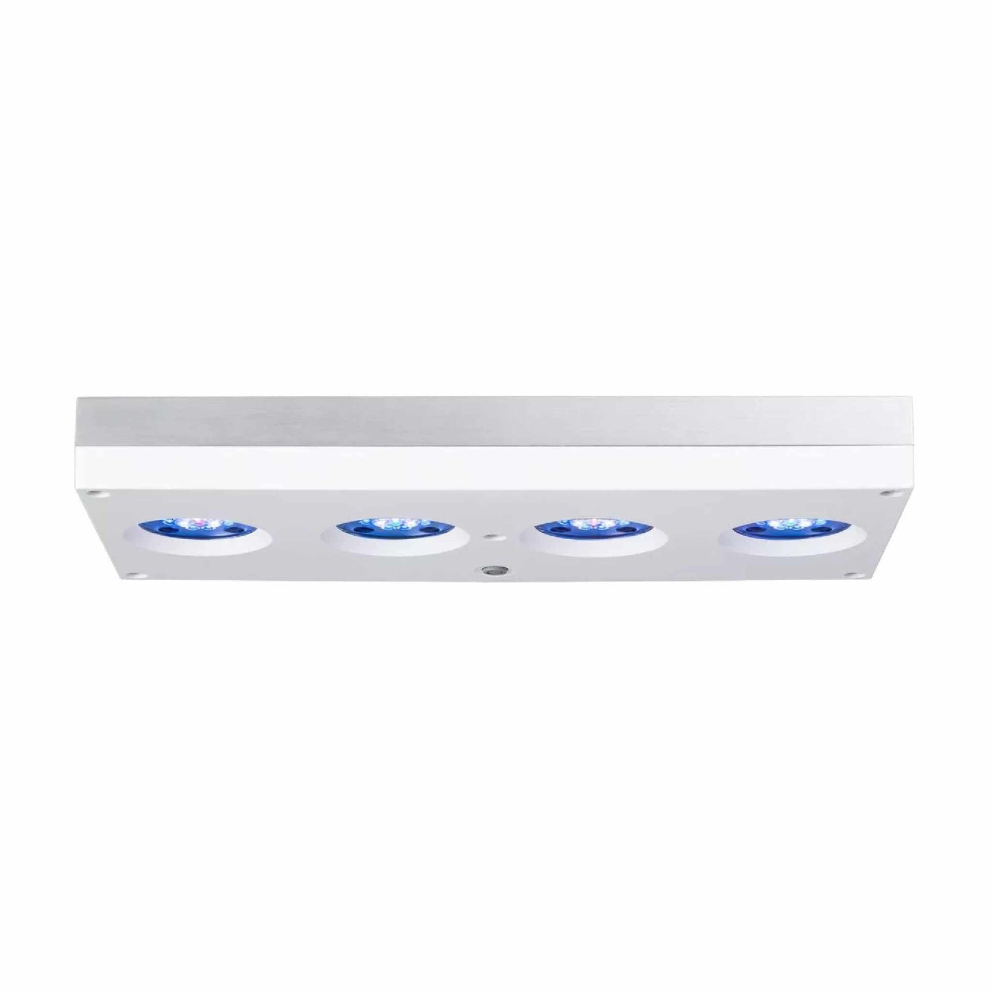 white hydra 64 side profile