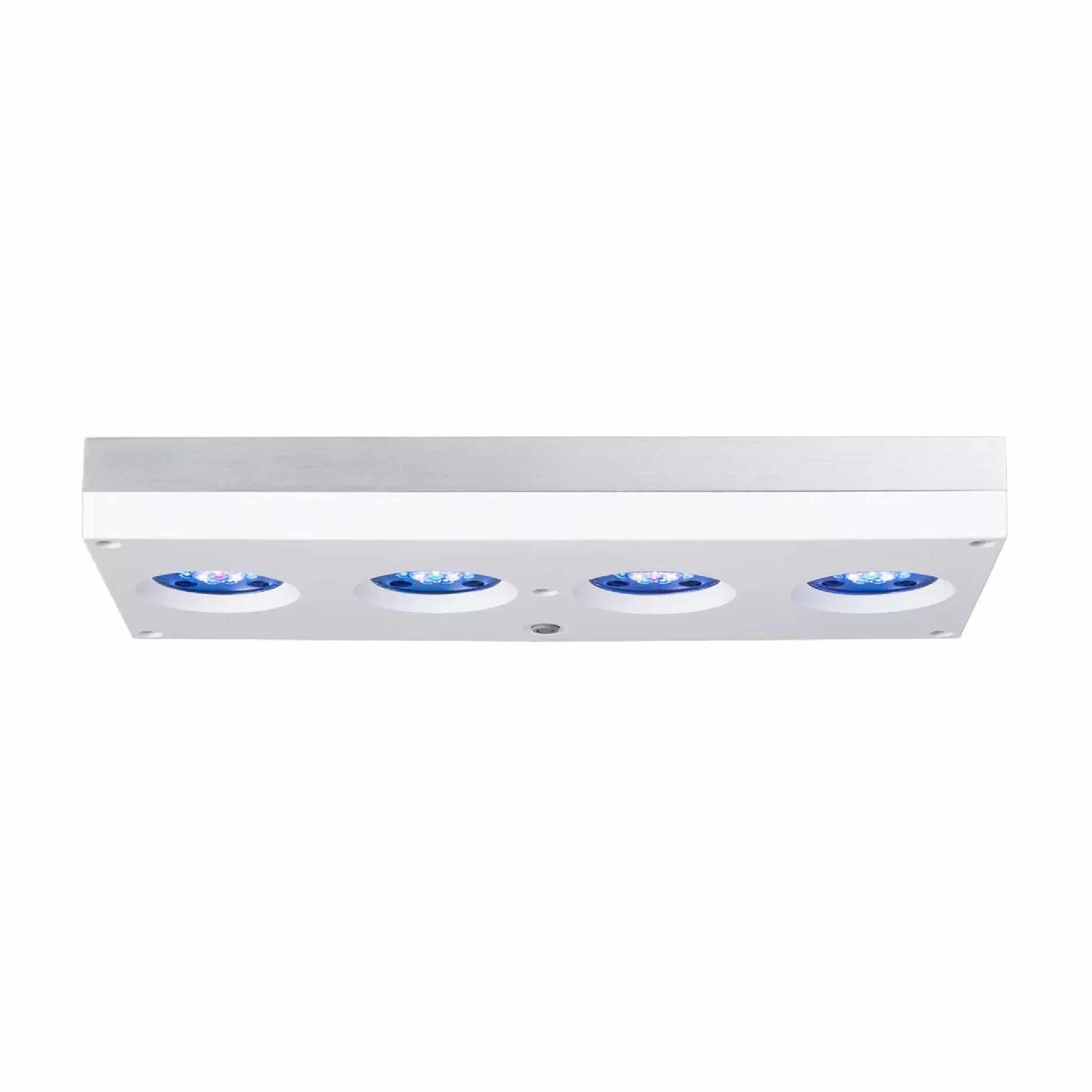 white hydra 64 side profile