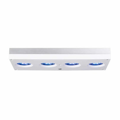 white hydra 64 side profile