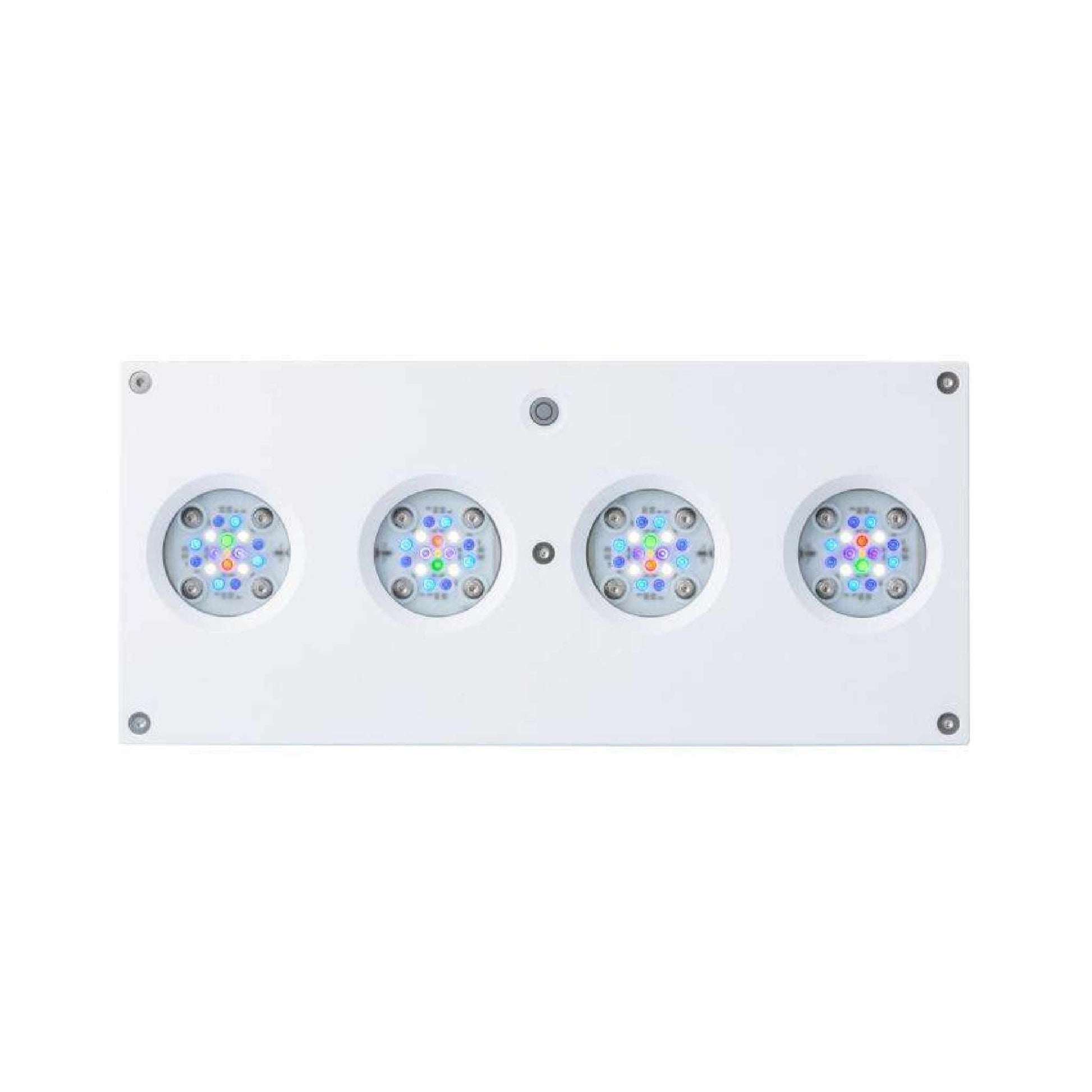white hydra 64 front profile