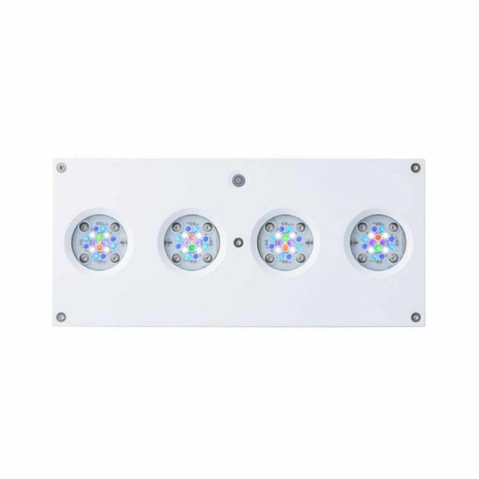 white hydra 64 front profile