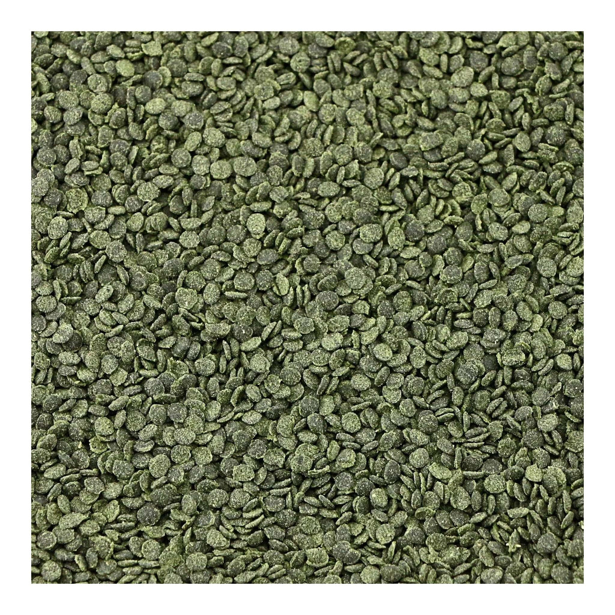 Close-up of Ocean Nutrition Shrimp Wafers, small green wafers