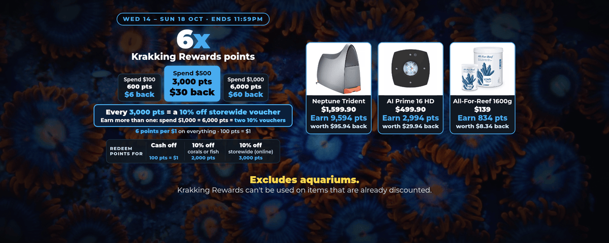 6x Krakking Rewards points Wed 14 to Sun 18 Oct - excludes aquariums