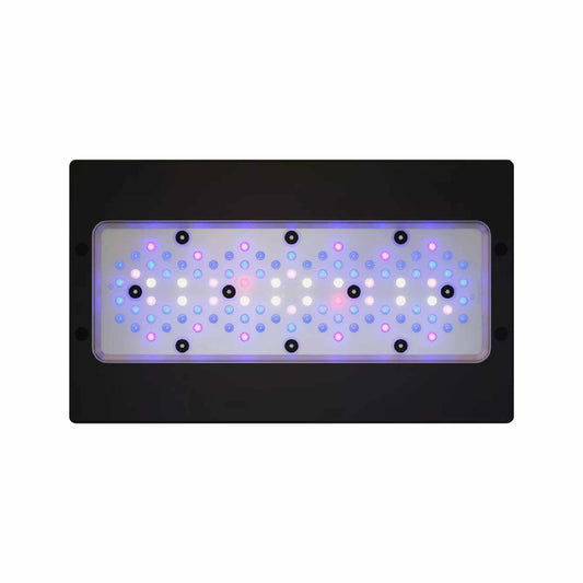 Radion XR30 G6 Blue LED - EcoTech Marine