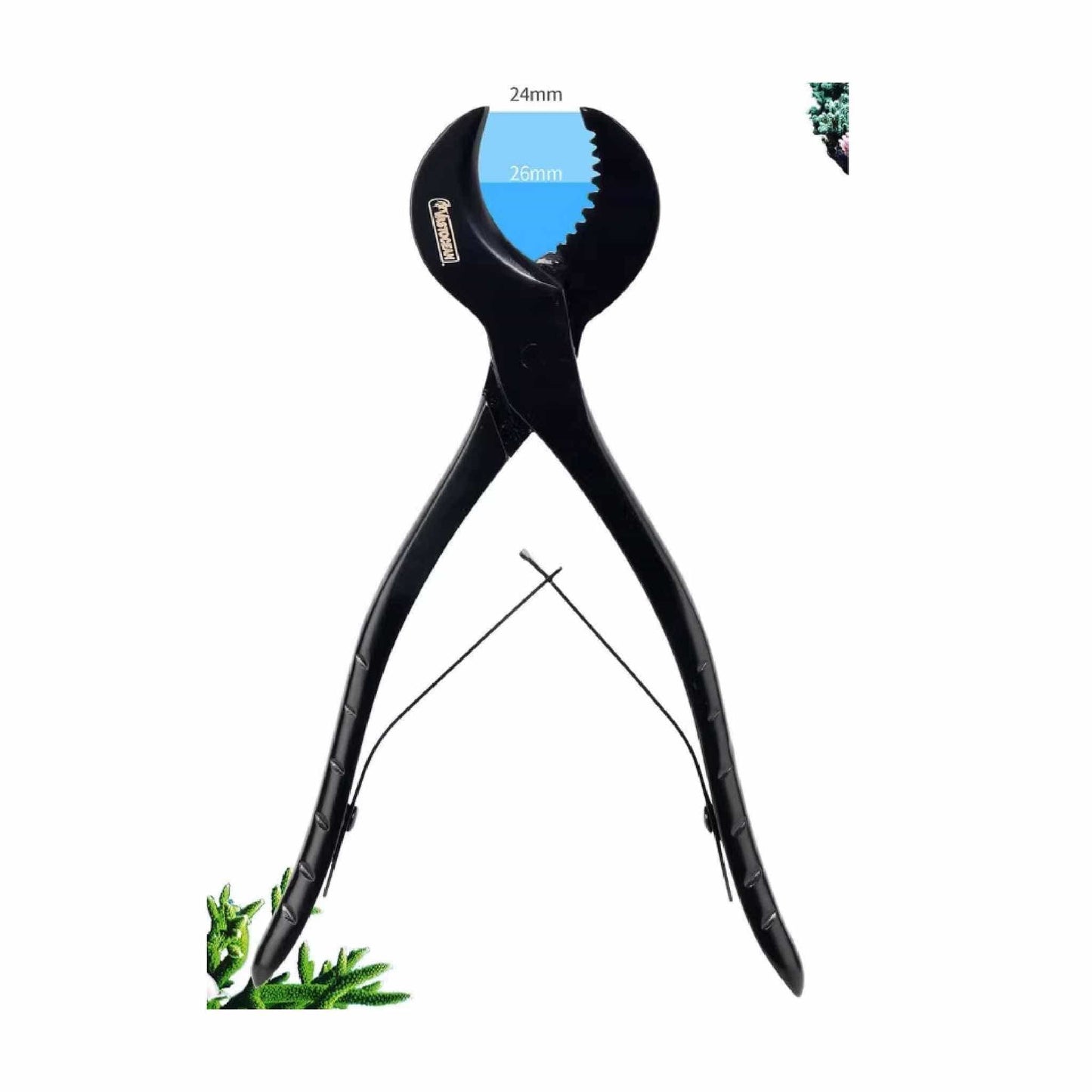 Curved Coral Cutter - Vastocean