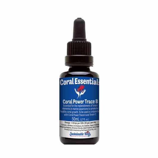 Coral Power Trace B - Coral Essentials